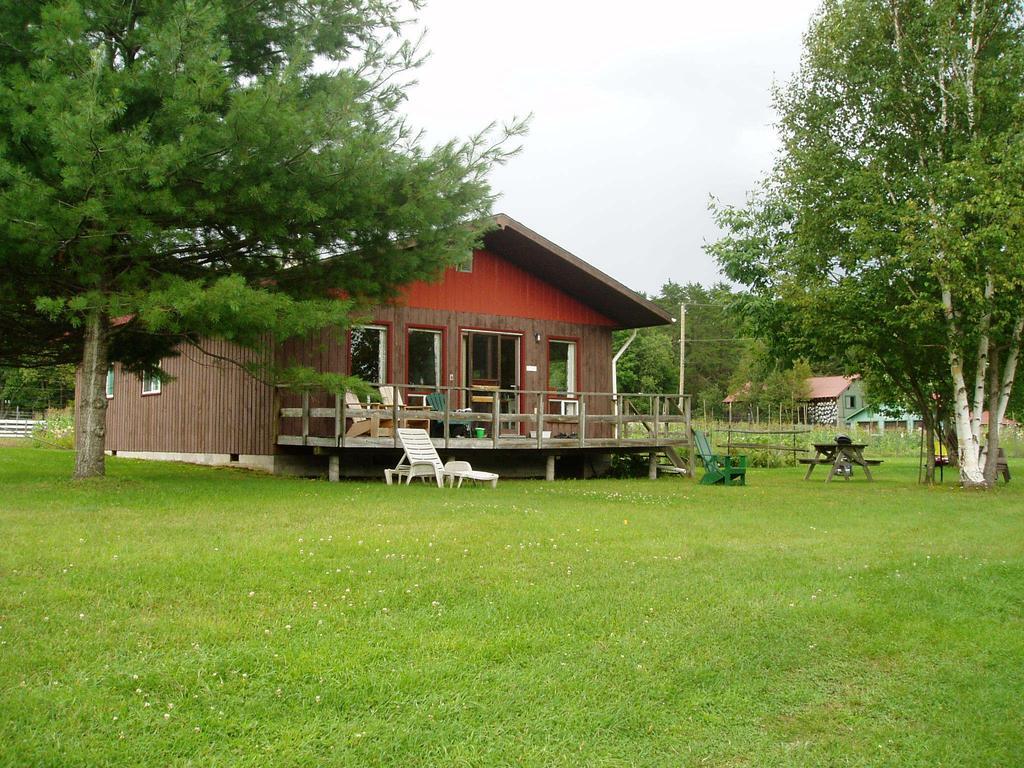 Bondi Village Cottage Resort Lake of Bays Exterior foto